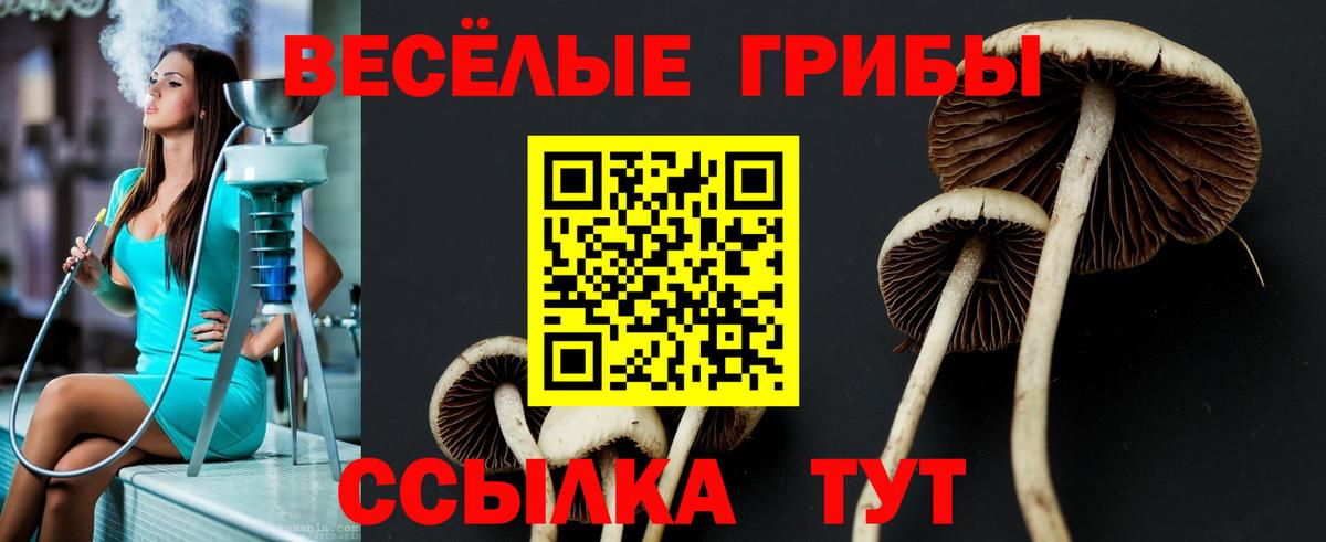 Галлюциногенные грибы GOLDEN TEACHER  Вход с VPN  Псилоцибиновые грибы Psilocybine cubensis  Советск 